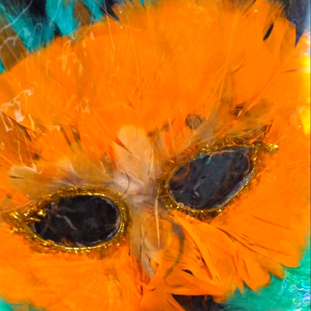 Feathered Mask
